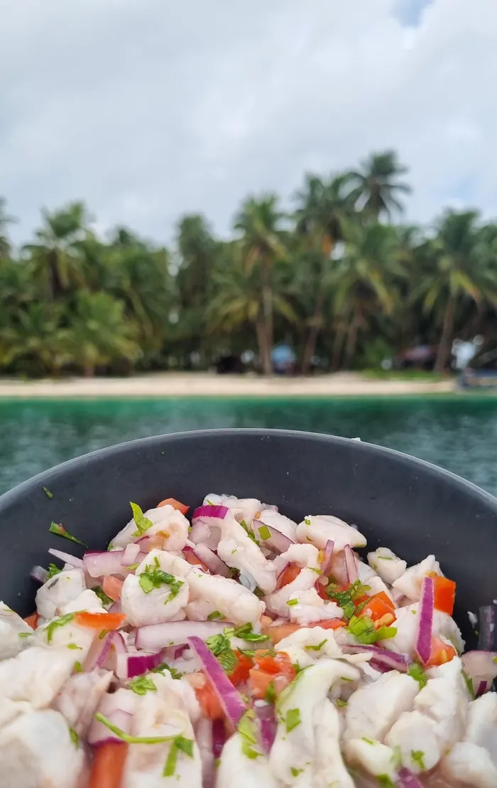 Fresh ceviche with an island in the background