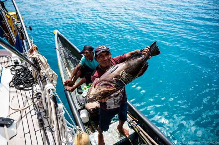 Guna fishermen bringing fresh fish to the boat