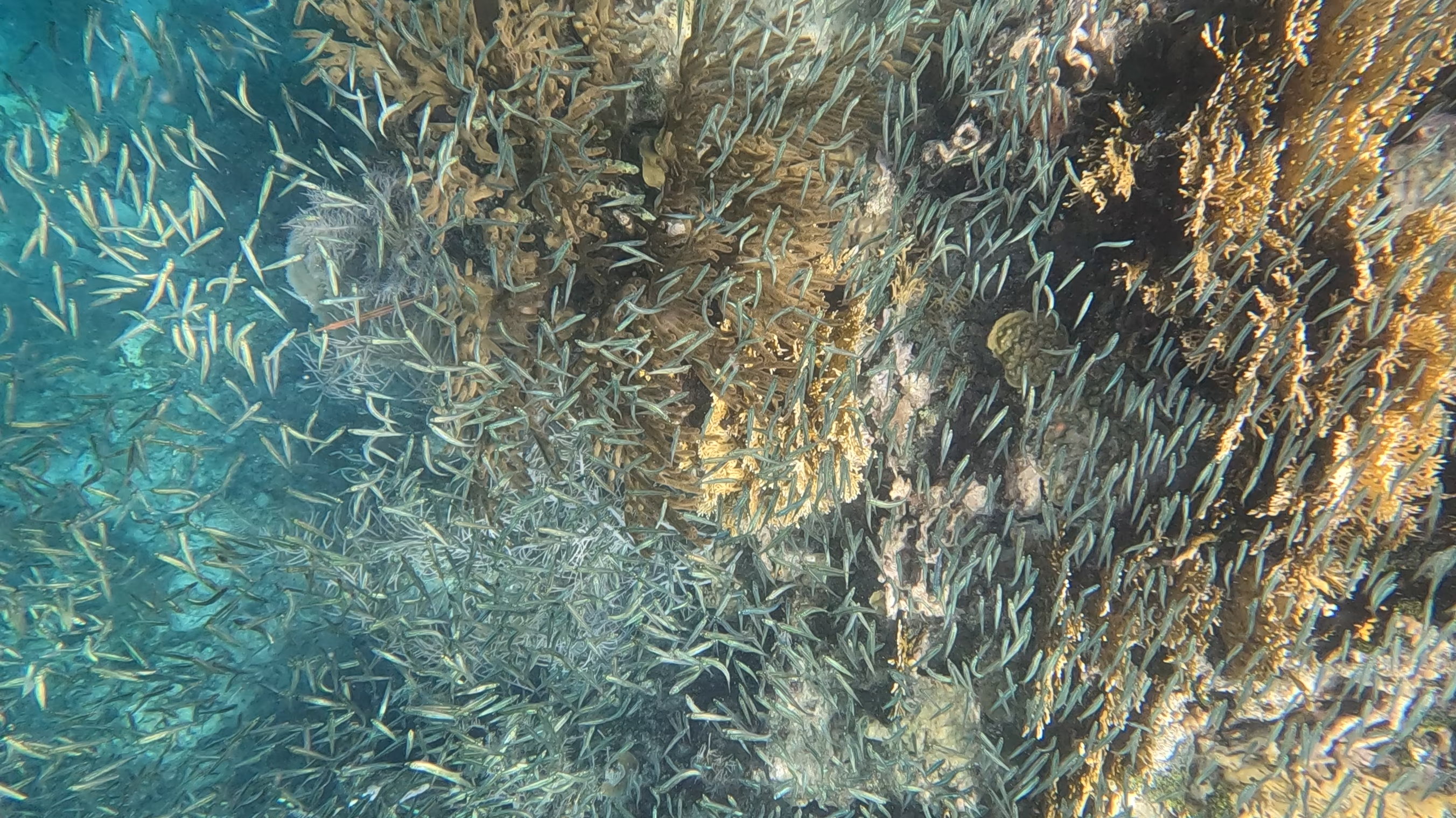 sailboat-sanblas-outdoor-yatch