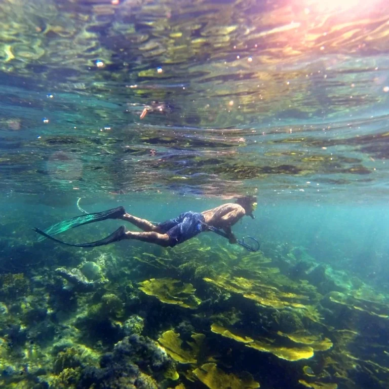 16617235024771039549257-01