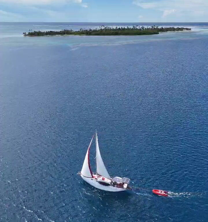 WhatsApp Image 2024-12-01 at 04.03.37 (1)