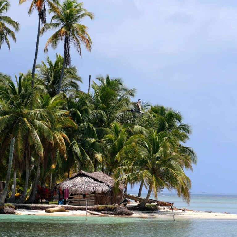 Palm fringed island in San blas Guna Yala, with a traditional built house