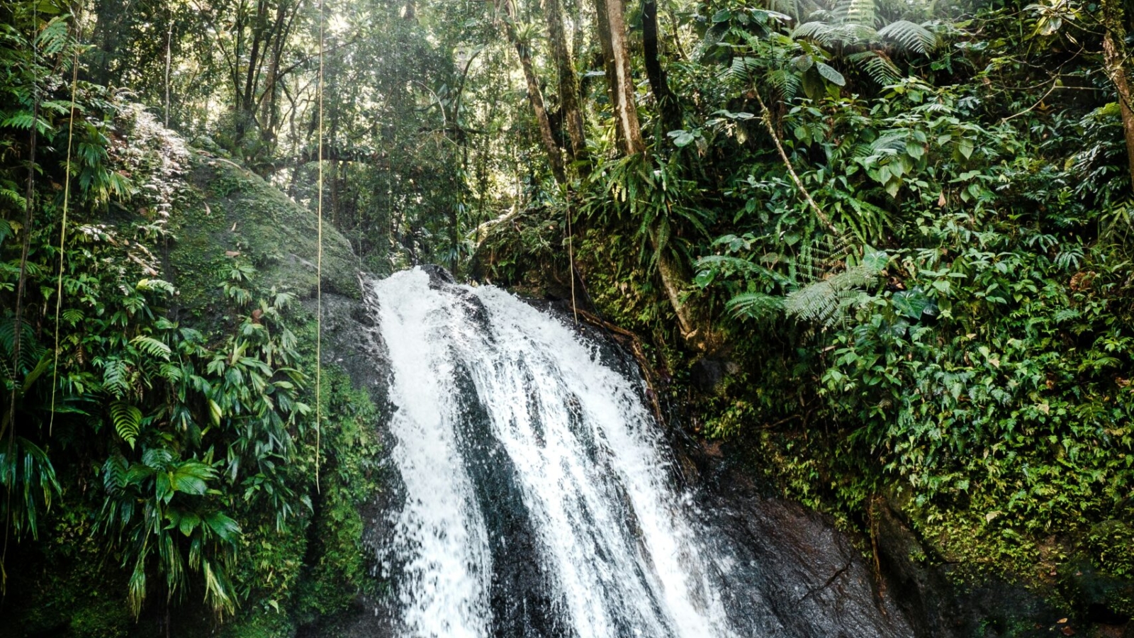 daniel-oberg-fG5jun4bYBQ-unsplash