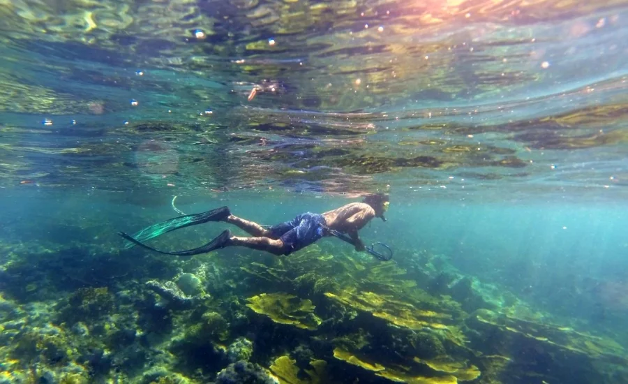 16617235024771039549257-01