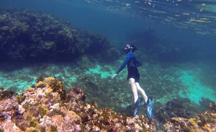 1661789722360-1231091393-01