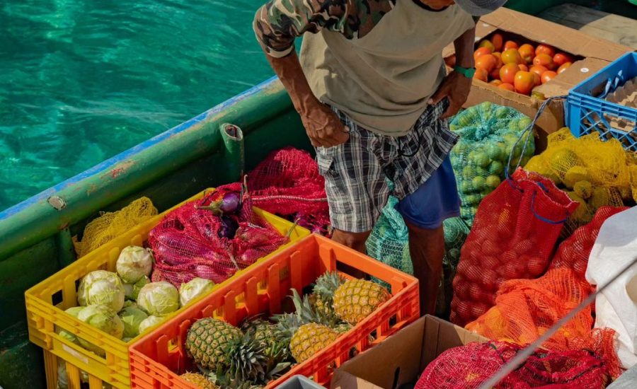 449332747_1194799974888395_1219012590856807858_n