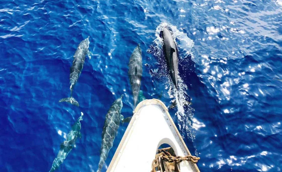 6206F230-84D0-40BE-BB14-3E292B132192