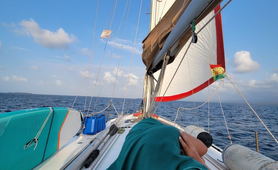 WhatsApp Image 2024-12-01 at 04.03.05 (1)