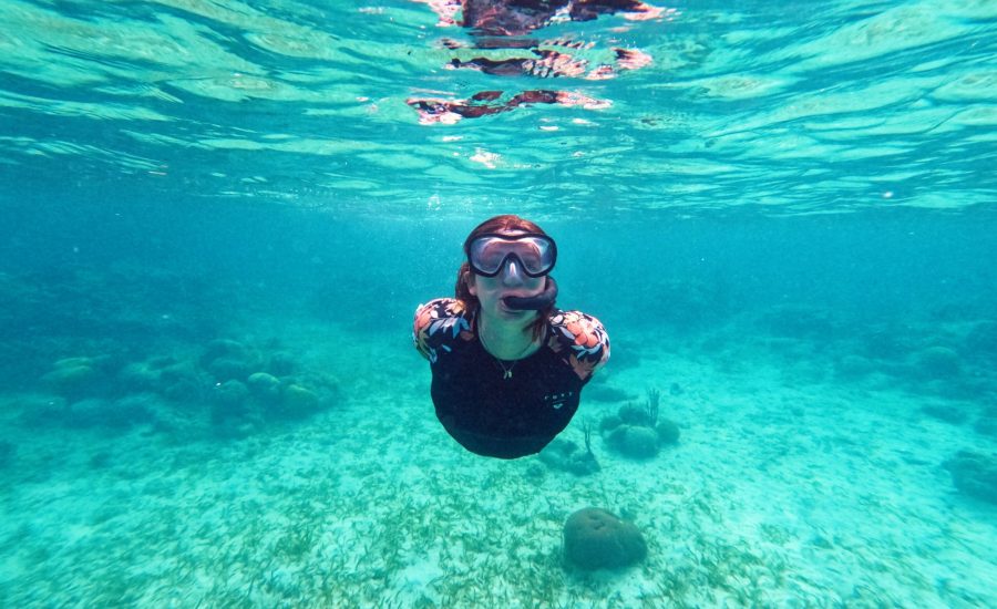 WhatsApp Image 2024-12-01 at 04.24.17