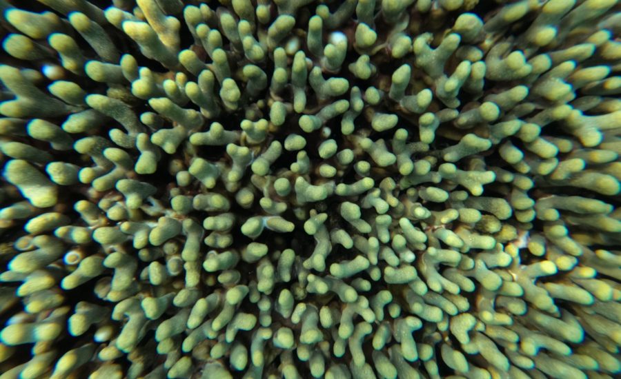 WhatsApp Image 2024-12-01 at 04.24.18 (1)