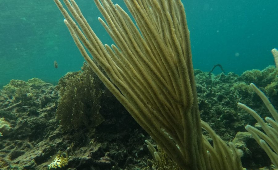 WhatsApp Image 2024-12-01 at 04.24.18 (3)