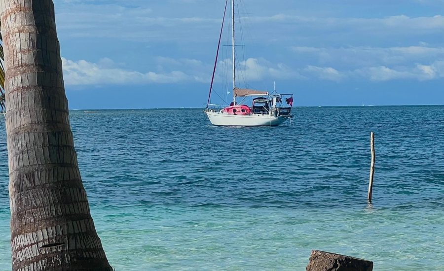 WhatsApp Image 2025-04-03 at 13.15.38